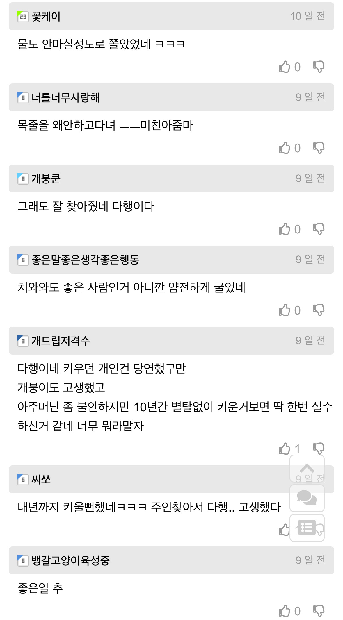 길잃은 뚱쭝 치와와 주인 찾아준 개드립인 | 인스티즈