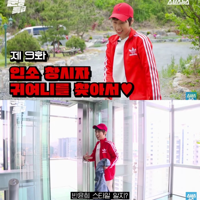  인소 창시자 귀여니를 찾아서(feat.귀여니 근황) | 인스티즈