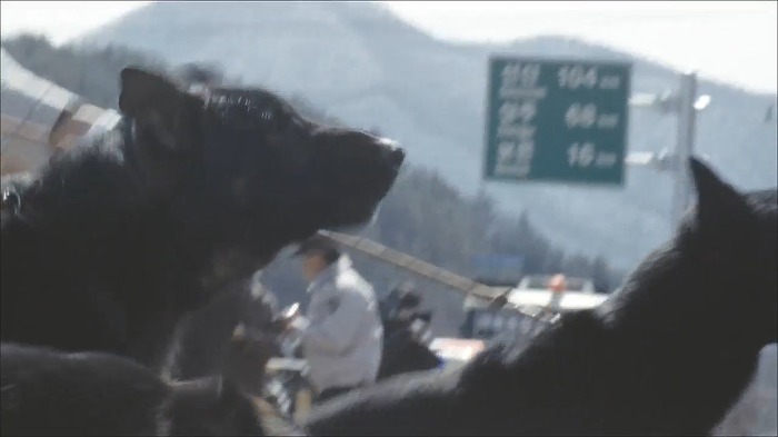 [황해] 영화에서 억울하고 무섭고 짠내터지는 연기 잘 하는 하정우.. | 인스티즈