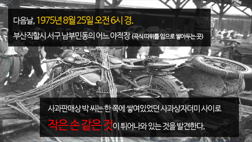 부산 어린이 연쇄살인 사건 | 인스티즈