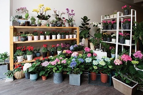 생일선물로 실용적인 선물 VS 예쁘지만 실용성 없는 선물 | 인스티즈