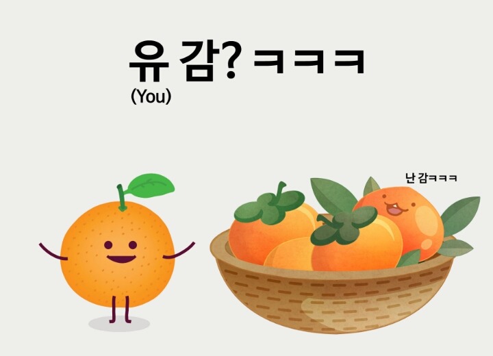 귤이 감을 보고 한말은? | 인스티즈