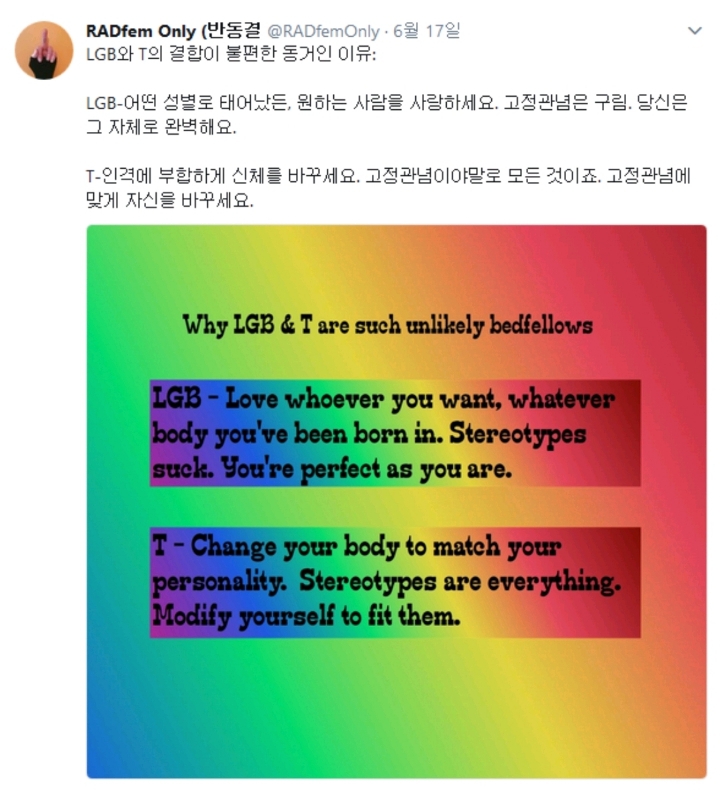 LGB와 트랜스젠더의 차이점(lgbt에서 트젠이 어울리지않는 이유) | 인스티즈