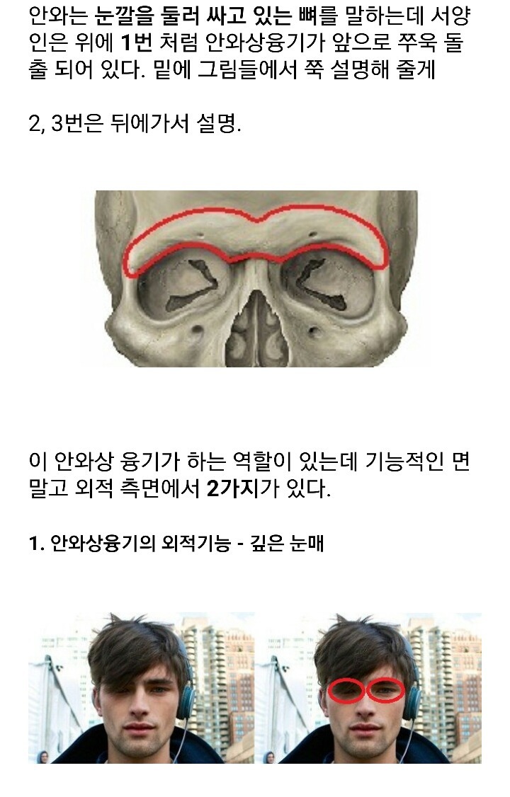 잘생긴 남자의 필요조건 '안와상융기' | 인스티즈