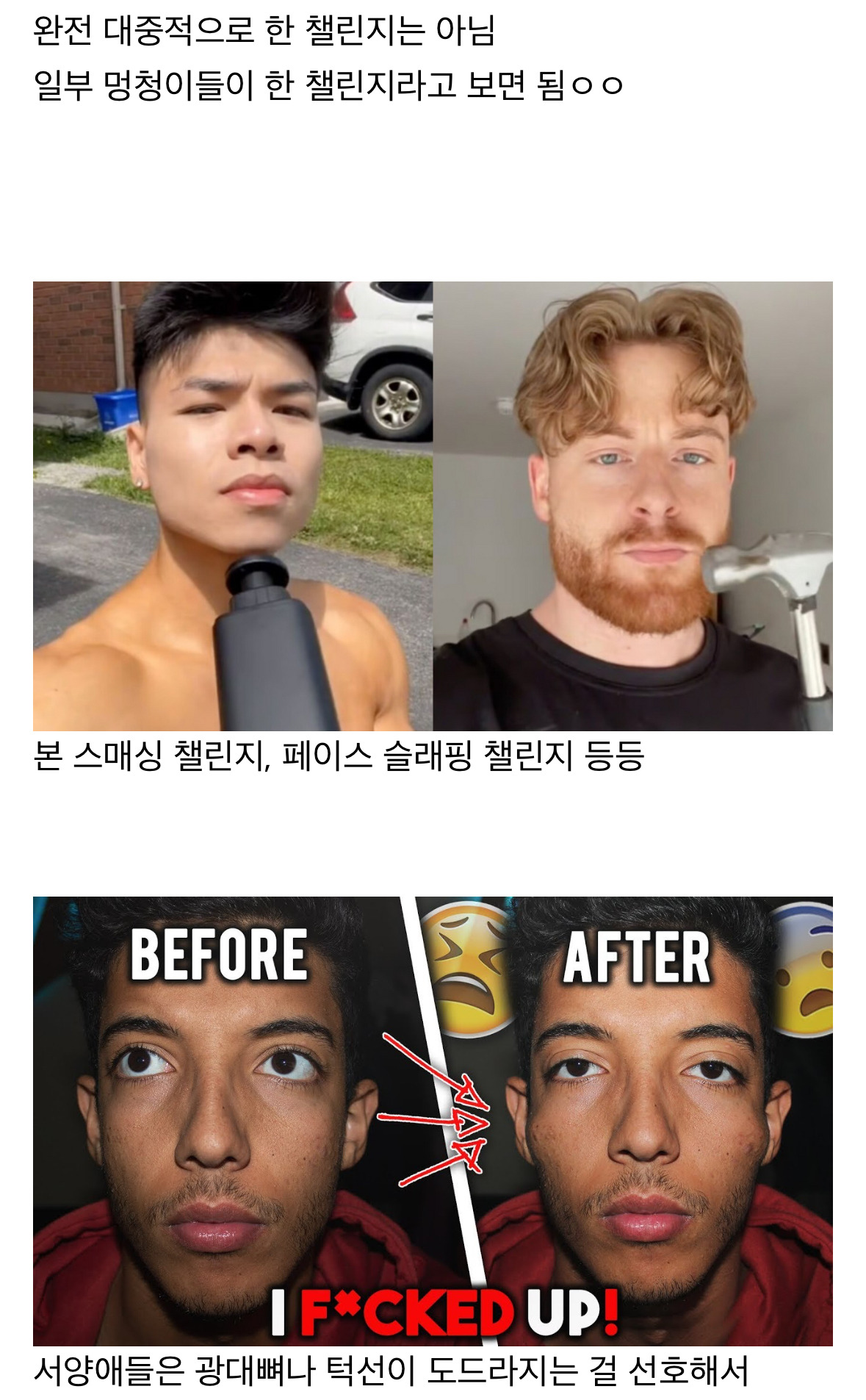 한국인들은 이해 못할 외국(거의 미국)에서 유행했던 틱톡 챌린지들 | 인스티즈