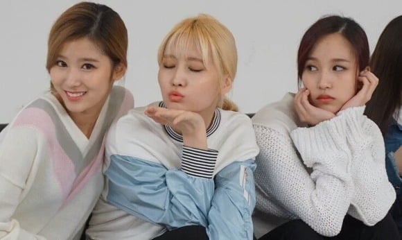 트와이스 일본멤버들의 희귀한 성씨.jpg | 인스티즈
