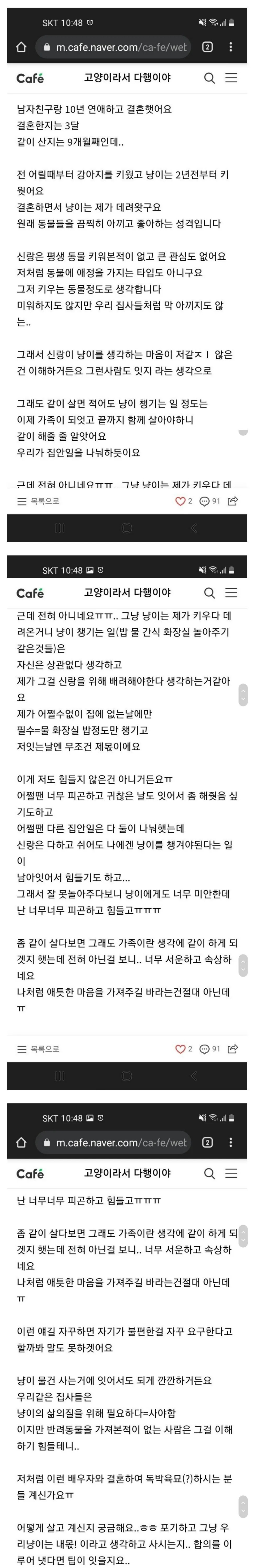 독박육묘에 시달린다는 사람.jpg | 인스티즈
