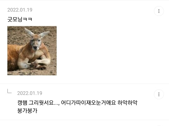 1년 전 죠캎 | 인스티즈