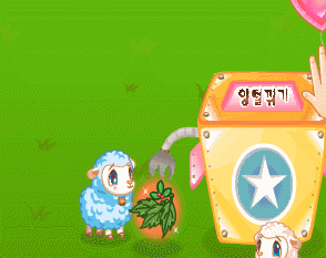 쥬니어네이버 동물농장 서비스 종료 전 직접 찍었던 사진+움짤 몇개 | 인스티즈