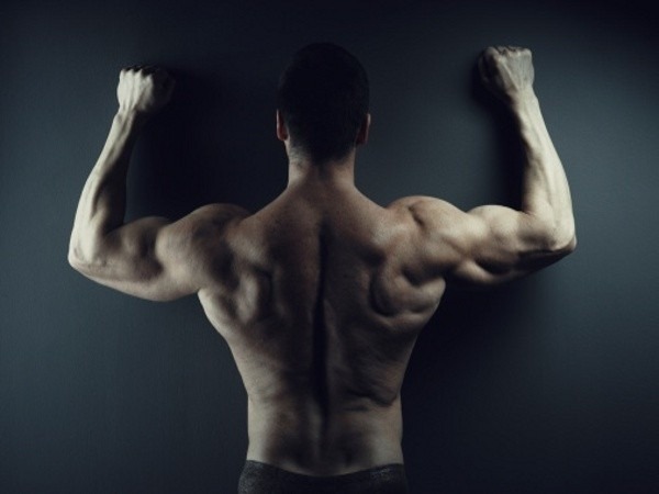 [등운동] 인버티드 로우(Inverted Row) | 인스티즈