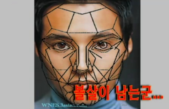 재미로 보는 잘생겼다. 예쁘다. 의 황금비율 마스크 조건.jpg | 인스티즈