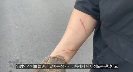 품종묘를 유기 후 일어난 나비효과 | 인스티즈