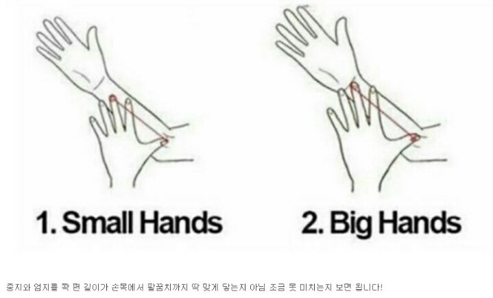 자기손 크기 판별법.jpg | 인스티즈