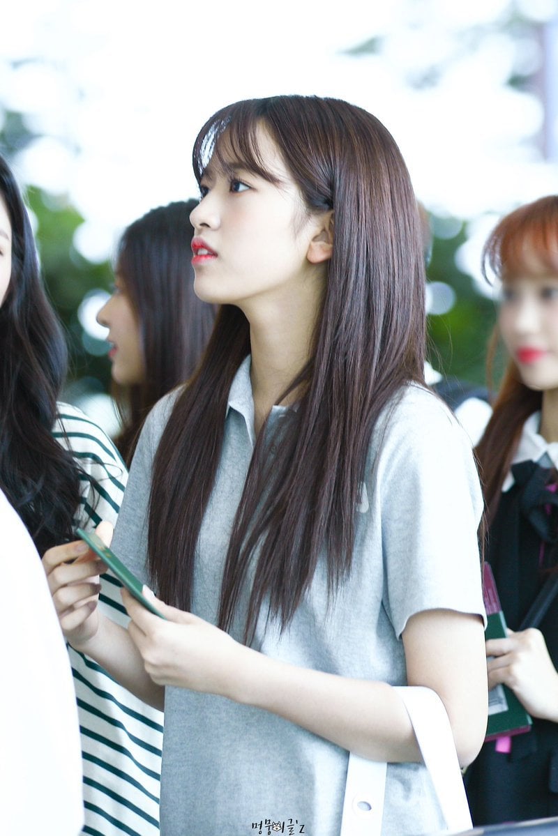 아이즈원 실물 체감해보는 사진 모음 | 인스티즈
