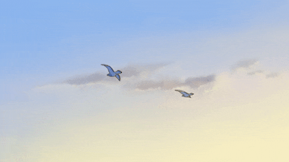 날개도 없는 주제에 하늘을 사랑했다 | 인스티즈