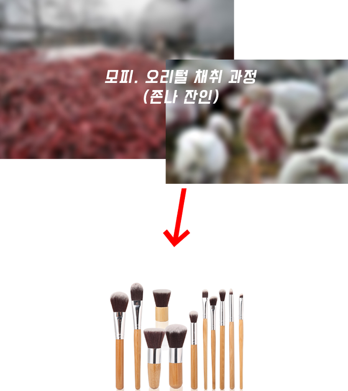 화장하는 여자들중에 이거 생각해본 사람 거의 없음 (부제: 메이크업 브러쉬의 끔찍한 진실...) | 인스티즈