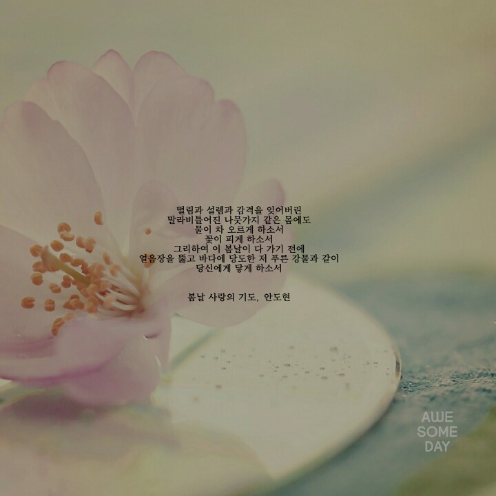 봄에 관한 시 모음 | 인스티즈