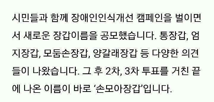 손모아장갑을 낀 고양이들 | 인스티즈