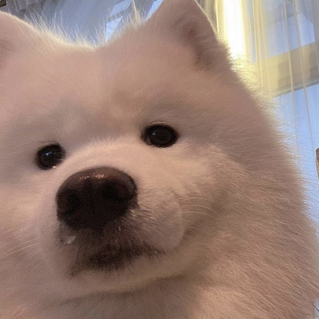 ENTP-INTJ-INTP 관계성 한 짤 요약.jpg | 인스티즈