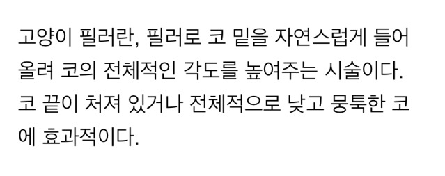 연예인으로 보는 내 얼굴은 강아지상? 고양이상? | 인스티즈