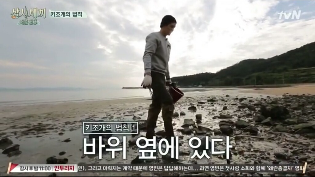 [삼시세끼] 에릭이 말하는 어이없는 키조개의 법칙ㅋㅋㅋㅋㅋㅋㅋㅋㅋ | 인스티즈