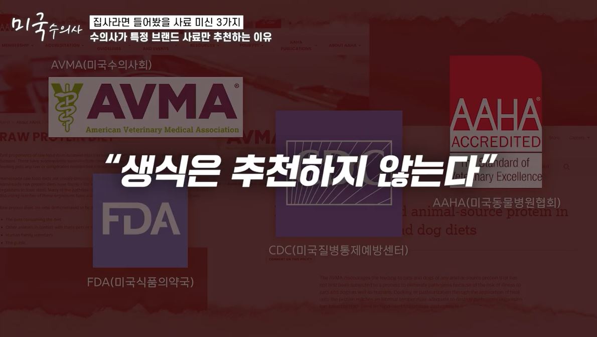수의사가 절대 "생식"을 추천하지 않는 이유 (강아지 사료 관련 내용 있음) | 인스티즈