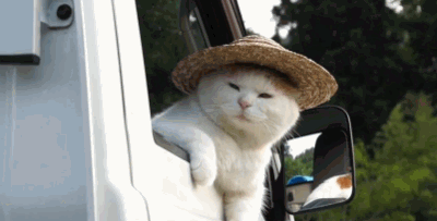 너 내 동료가 되라.GIF | 인스티즈