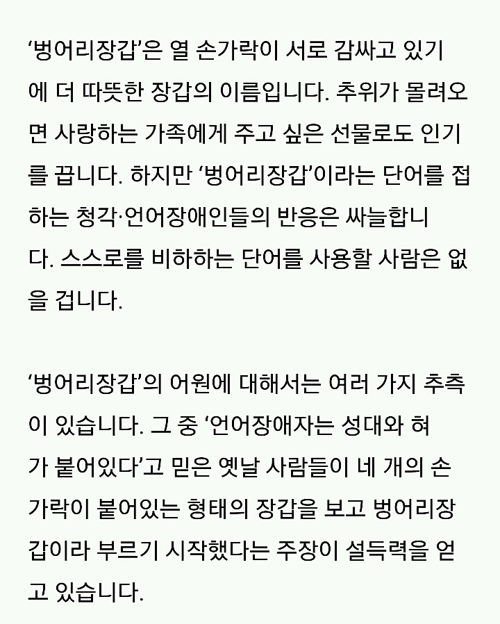 손모아장갑을 낀 고양이들 | 인스티즈