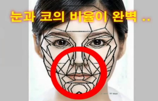 재미로 보는 잘생겼다. 예쁘다. 의 황금비율 마스크 조건.jpg | 인스티즈