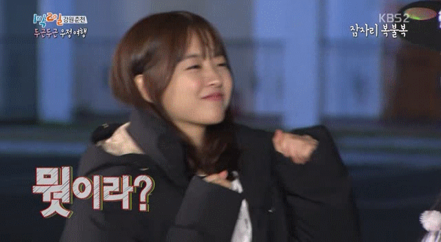 연예인으로 보는 내 얼굴은 강아지상? 고양이상? | 인스티즈