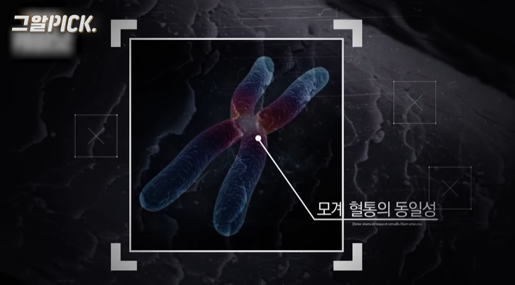 죽기전에 고통스러워서 자기 머리를 뜯은거에요 | 인스티즈