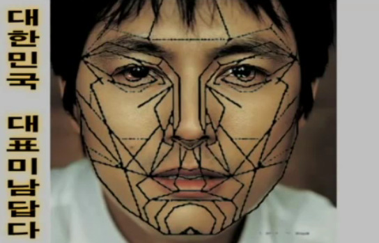 재미로 보는 잘생겼다. 예쁘다. 의 황금비율 마스크 조건.jpg | 인스티즈