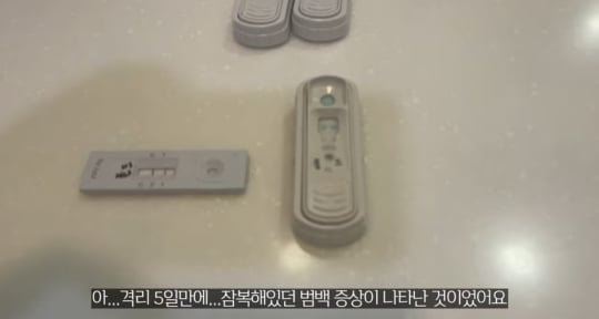 품종묘를 유기 후 일어난 나비효과 | 인스티즈