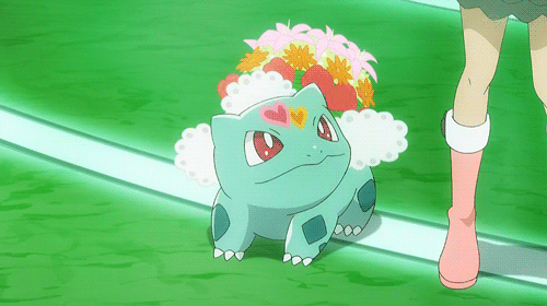 [포켓몬] 파이리,꼬부기,이상해씨의 진화 모습.jpgif (대량움짤주의) | 인스티즈