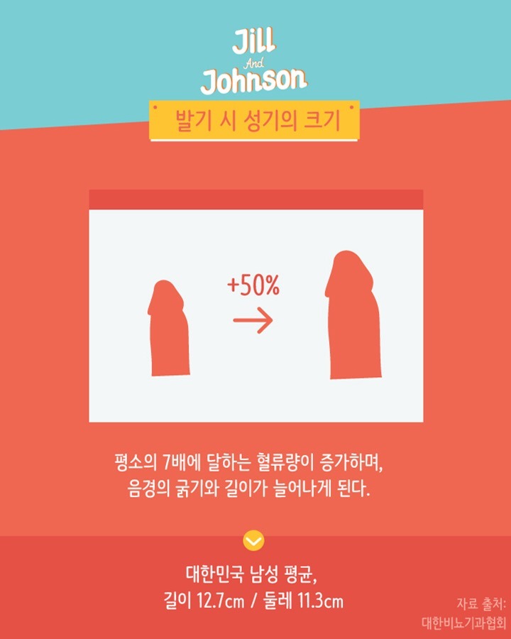 발기시 평균 성기의 크기.. | 인스티즈