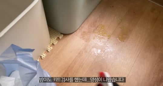 품종묘를 유기 후 일어난 나비효과 | 인스티즈