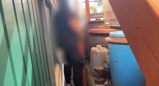 품종묘를 유기 후 일어난 나비효과 | 인스티즈