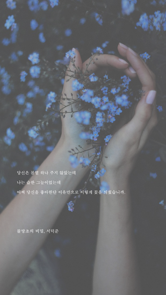 예쁜 시 구절이 적힌 폰배경화면 열다섯 번째.jpg | 인스티즈
