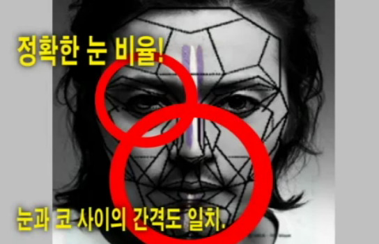 재미로 보는 잘생겼다. 예쁘다. 의 황금비율 마스크 조건.jpg | 인스티즈