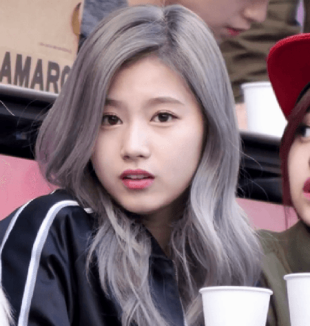 [트와이스] 사나없이 사나마나 사나 짤모음.jpg | 인스티즈