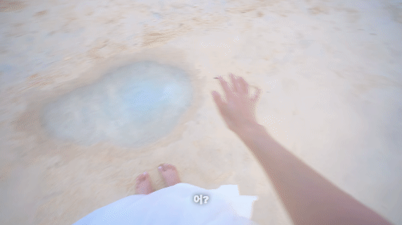 넷플 월간남친 구독료 할인해 왔는데 골라봐.jpg | 인스티즈