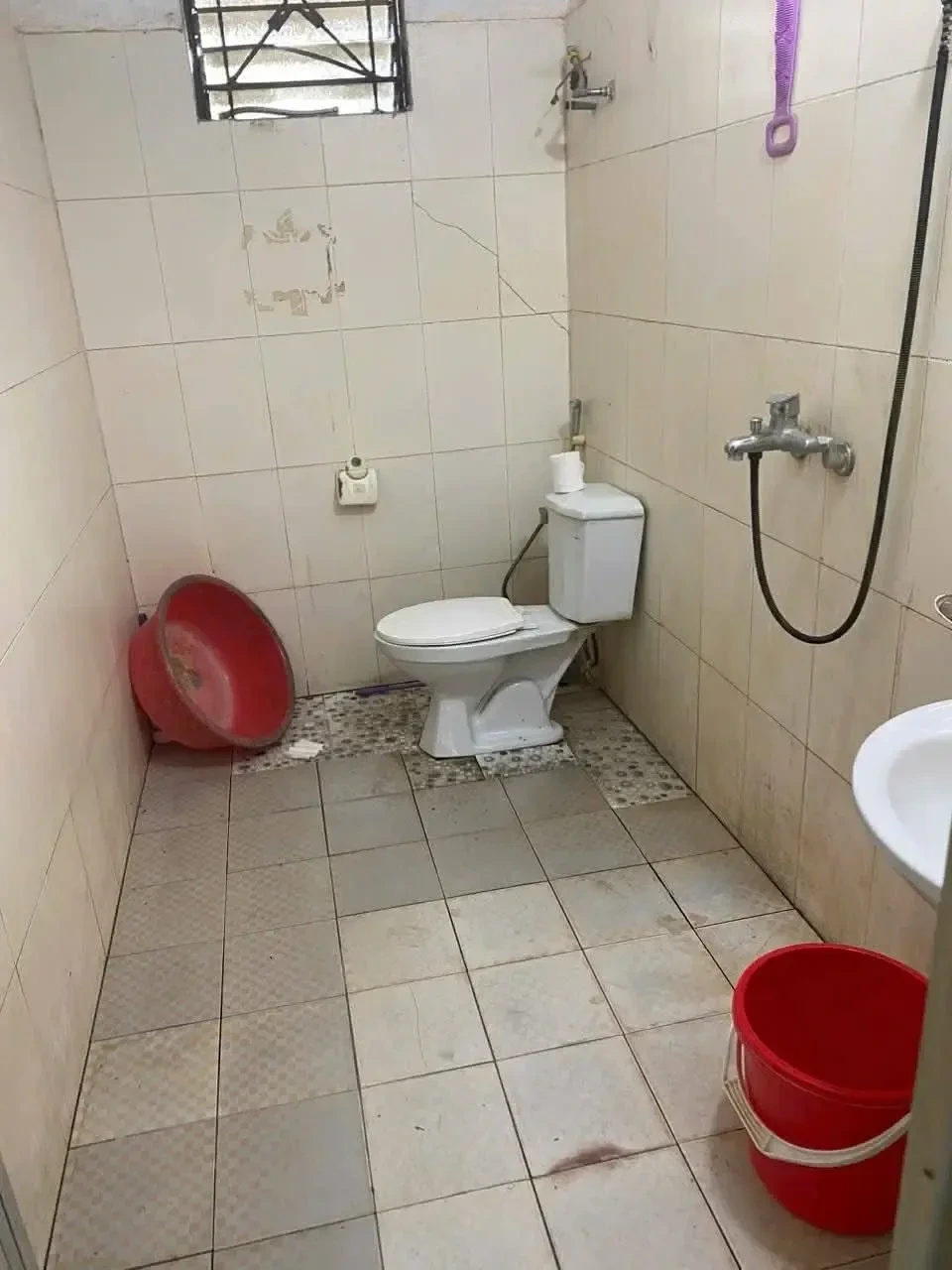 결국 구속된 "베트남 정육점 영상 사건"의 범인에 대한 이야기 | 인스티즈