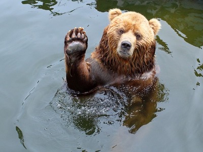 멀미가 심한 사람들을 위해 찌는글 | 인스티즈