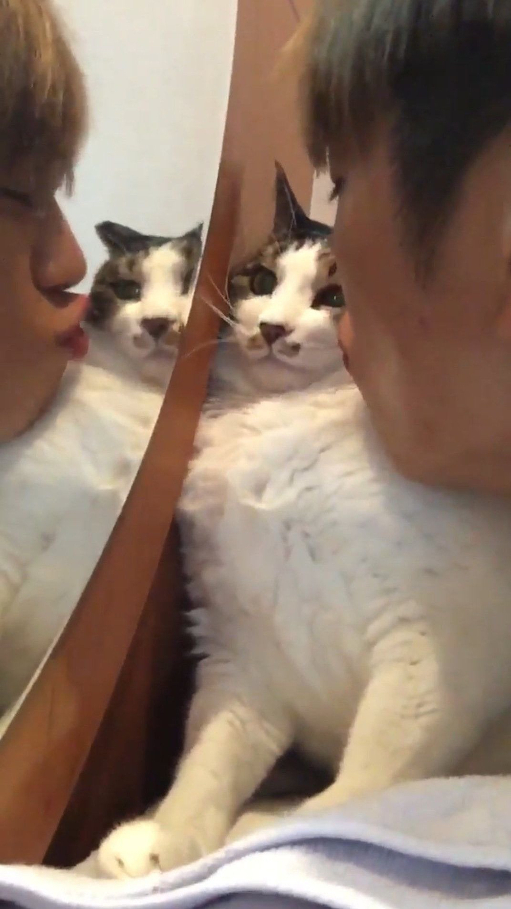 한 아이돌이 좋아하는 강아지 종 | 인스티즈