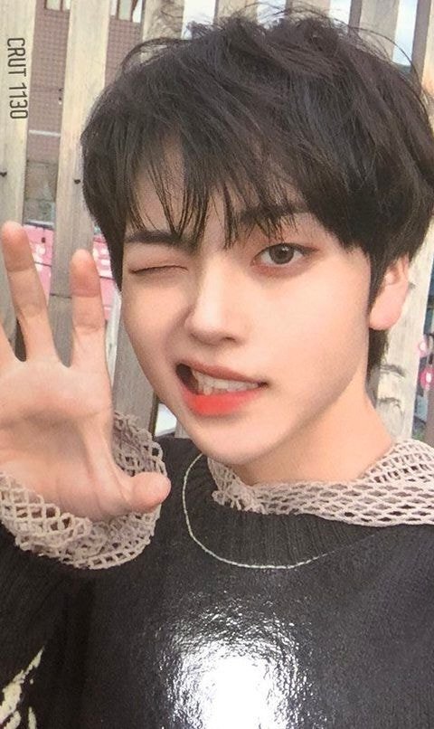 실제 아이돌 포카들로 알아보는 돌판 반포자이 포카 특징 | 인스티즈