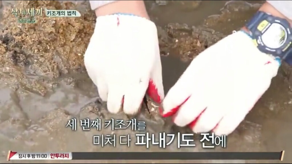 [삼시세끼] 에릭이 말하는 어이없는 키조개의 법칙ㅋㅋㅋㅋㅋㅋㅋㅋㅋ | 인스티즈