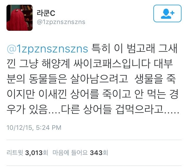 극지방 동물들은 대부분 성격이 맞거나 난폭합니다 (feat. 범고래).twitter | 인스티즈