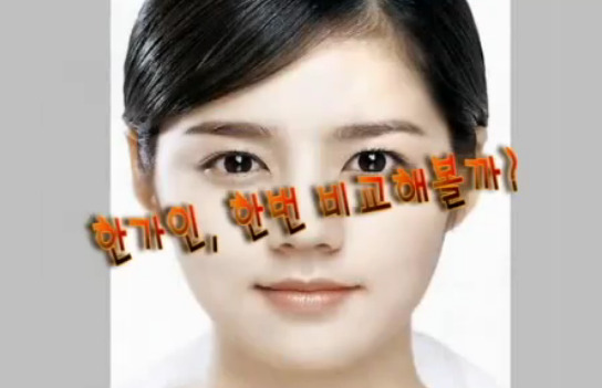 재미로 보는 잘생겼다. 예쁘다. 의 황금비율 마스크 조건.jpg | 인스티즈