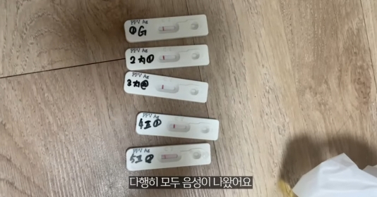품종묘를 유기 후 일어난 나비효과 | 인스티즈