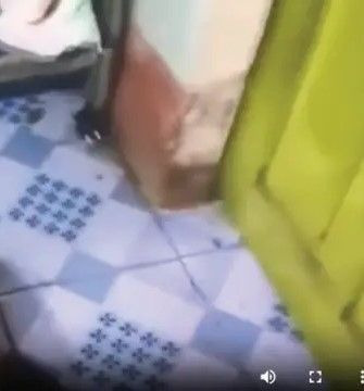 결국 구속된 "베트남 정육점 영상 사건"의 범인에 대한 이야기 | 인스티즈